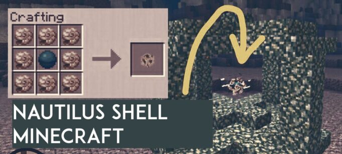 Nautilus Shell Minecraft