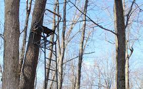 FACTOR CONSIDER BEFORE BUYING a Climbing Tree Stand