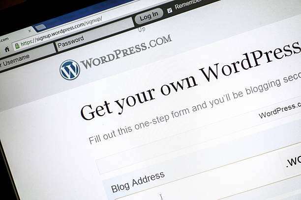 <a>5 Best Ecommerce Plugins for Your WordPress Site</a>