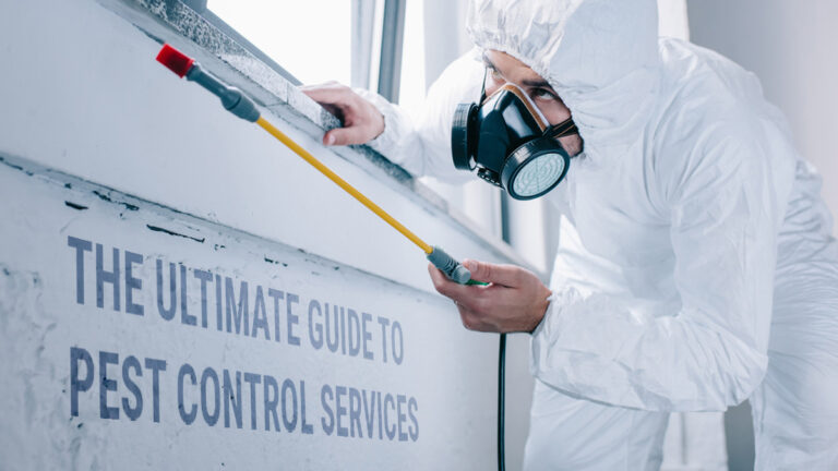 The Ultimate Guide to Pest Control Services