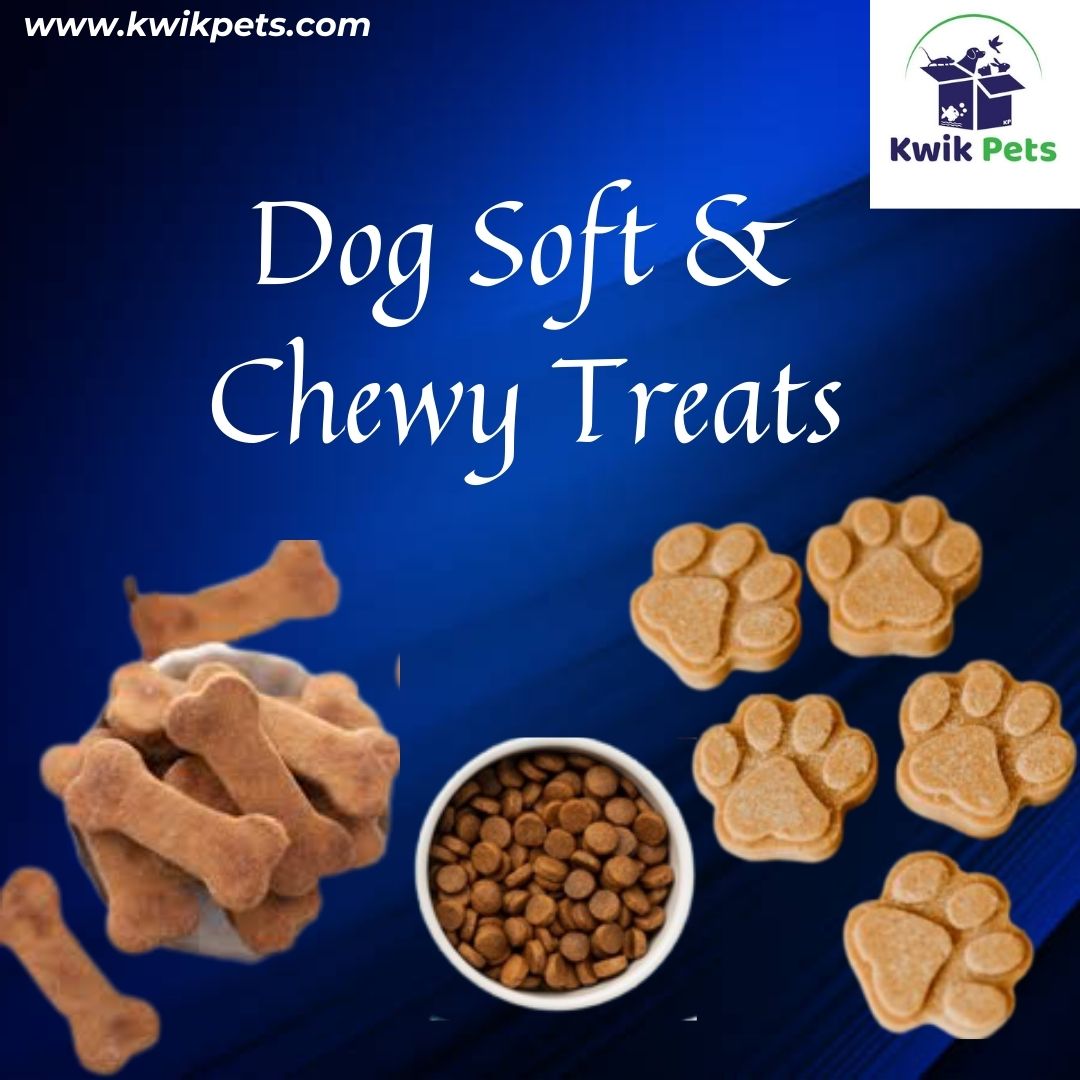 How To Choose The Best Pet Treats?