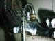 Vape Catalogs News – Vaping Legality Status for Minnesota Vape devices and e-liquid bottles on a counter