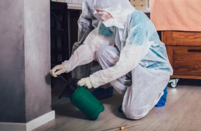 Pest Control
