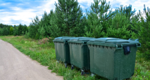 How Being Junk Free is Good for the Environment Being Junk Free
