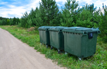 How Being Junk Free is Good for the Environment Being Junk Free