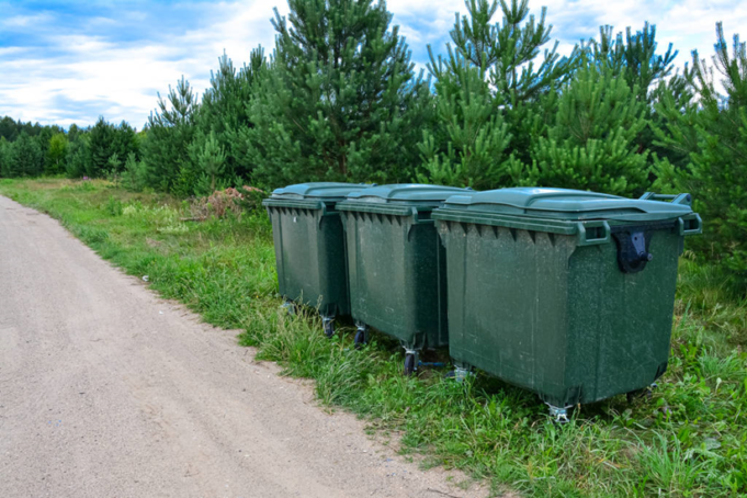 How Being Junk Free is Good for the Environment Being Junk Free