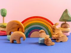 The Transformative Power of Montessori Toys in Early Childhood Education Montessori Toys
