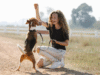 The Benefits Of Training A Dog For Its Mental And Emotional Well-Being Training A Dog