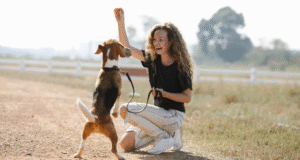 The Benefits Of Training A Dog For Its Mental And Emotional Well-Being Training A Dog