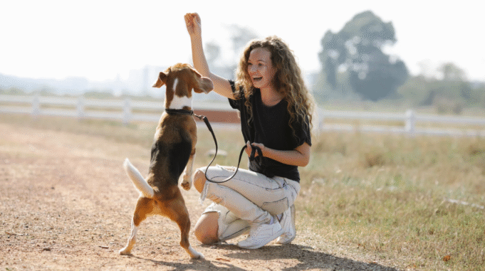 Training A Dog For Its Mental And Emotional Well-Being Training A Dog